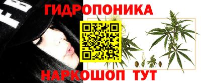 прущая мука Аргун