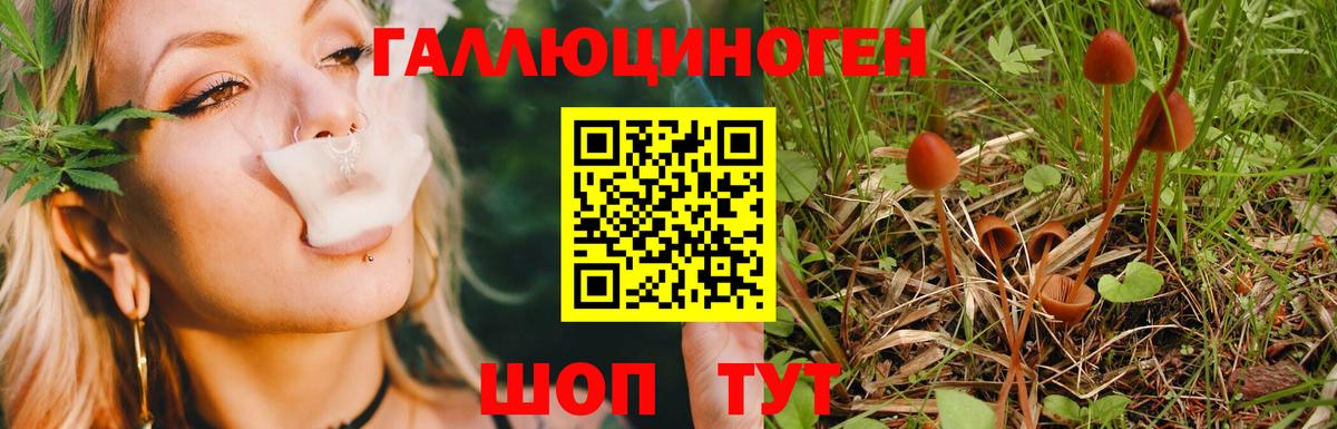 Апшеронск  Галлюциногенные грибы Magic Shrooms  Вход с VPN 